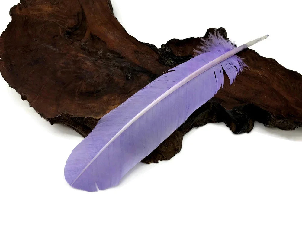 Single long lavender purple feather resting on a dark natural wood piece.