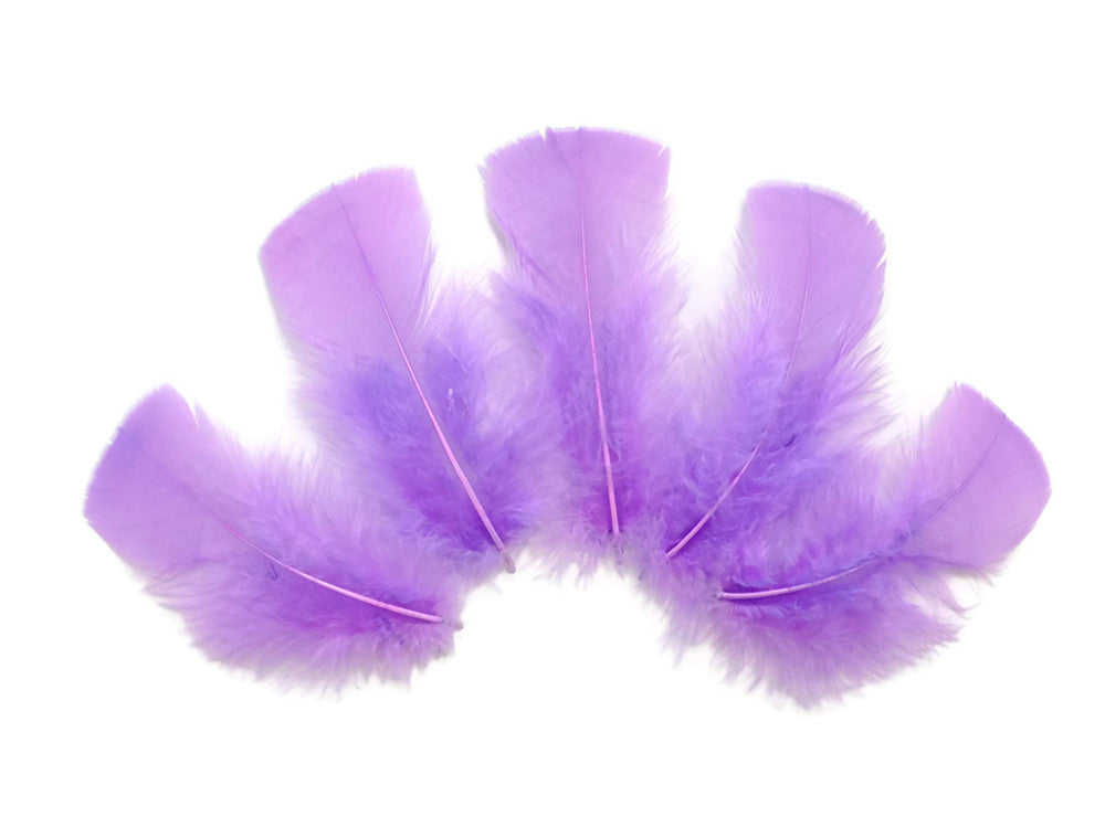 1/4 Lb - Lavender Turkey T-Base Wholesale Body Plumage Feathers (Bulk)