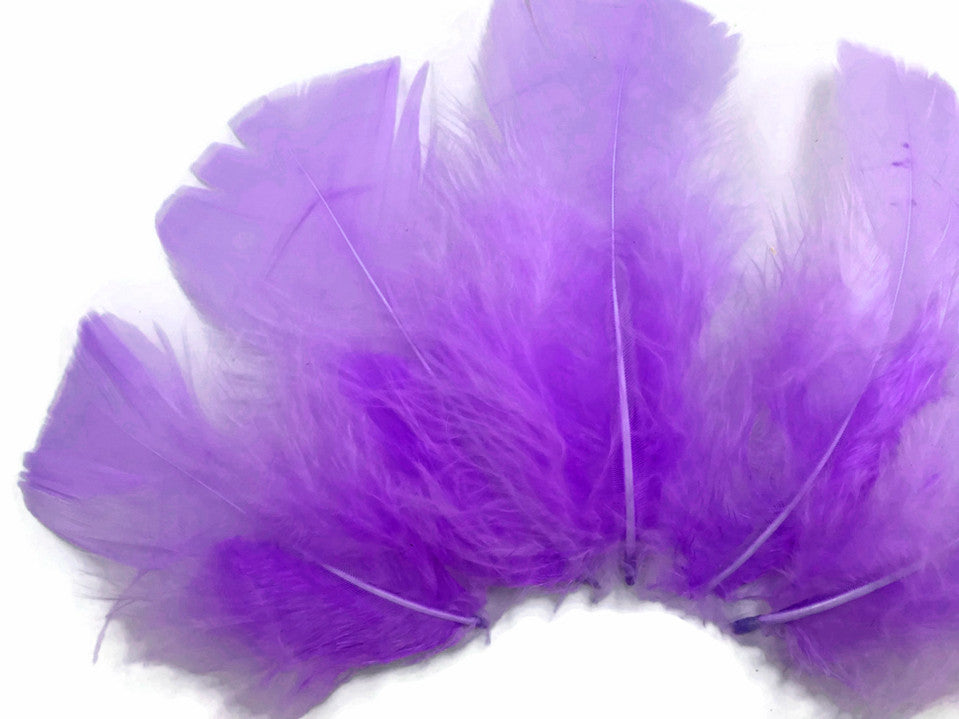 1 Pack - Lavender Dyed Turkey T-Base triangle Body Plumage Feathers 0.50 Oz.