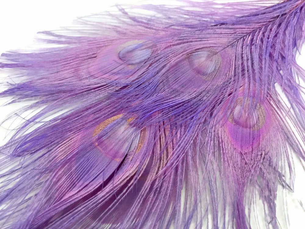 5 Pieces – Lavender Bleached & Dyed Peacock Tail Eye Feathers 10-12” Long