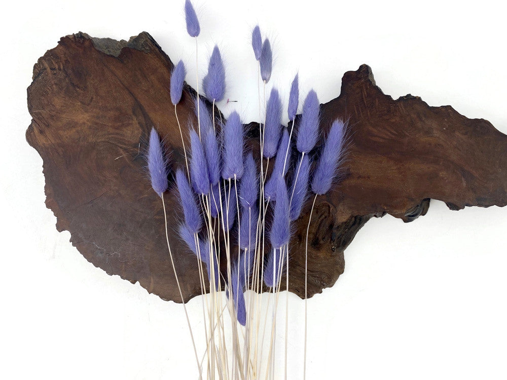 30 Pieces - 12-15" Lilac Bunny Tail Preserved Dried Botanical Grass Bouquet