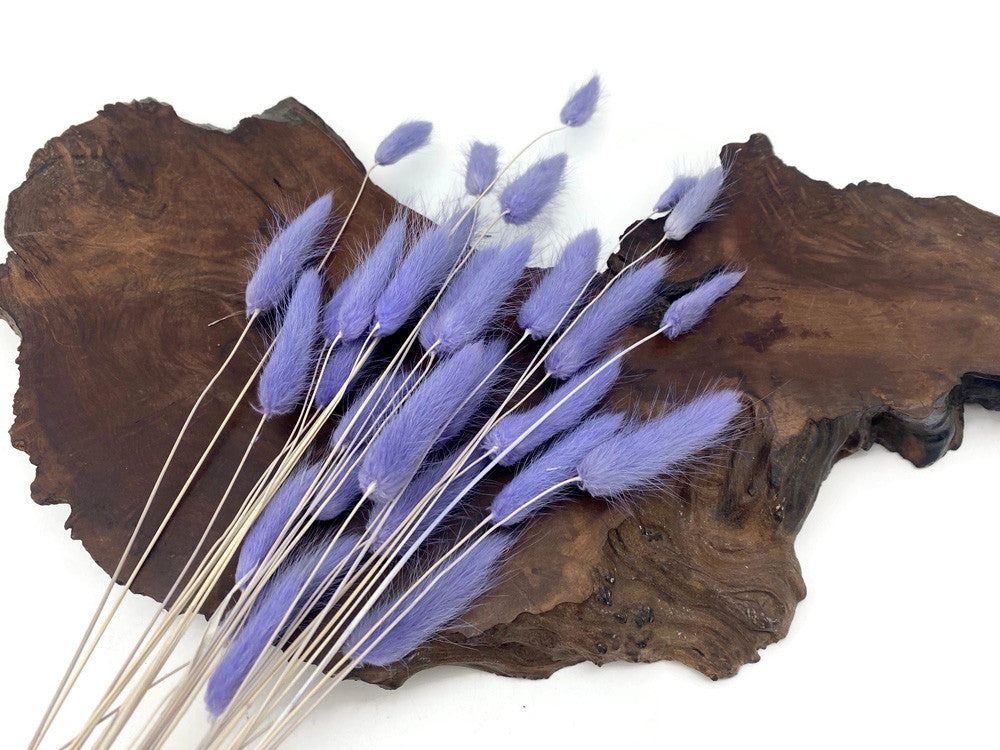 30 Pieces - 12-15" Lilac Bunny Tail Preserved Dried Botanical Grass Bouquet