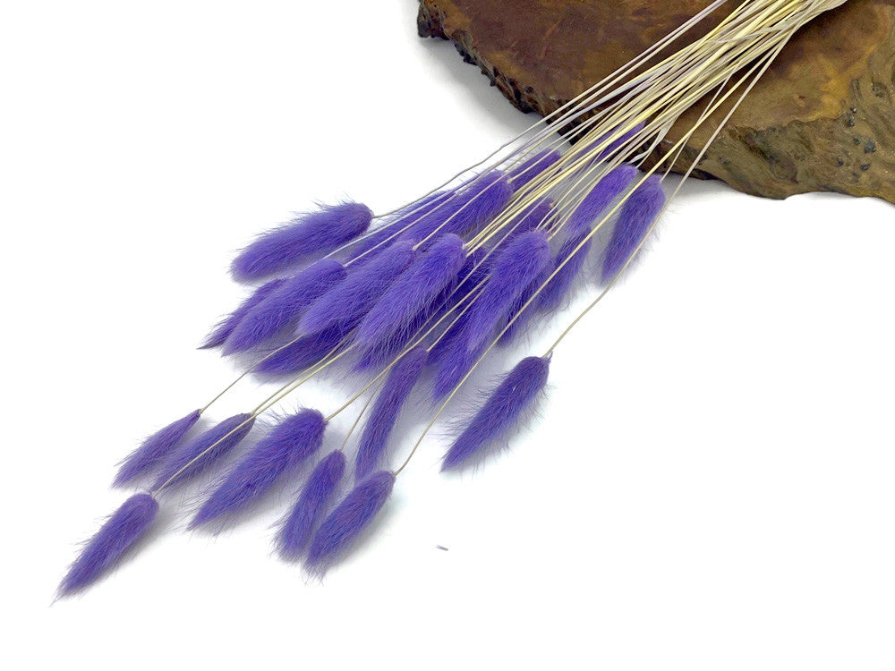 30 Pieces - 12-15" Lilac Bunny Tail Preserved Dried Botanical Grass Bouquet