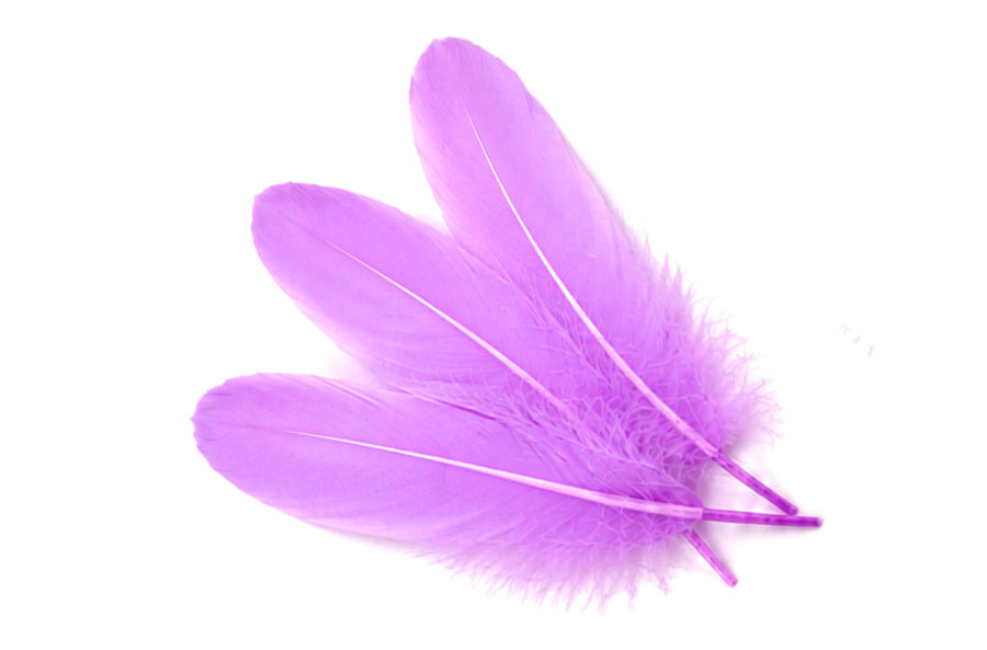 1 Pack - Lavender Goose Satinettes Pallet Soft Wing Quill Loose Feathers - 0.3 Oz