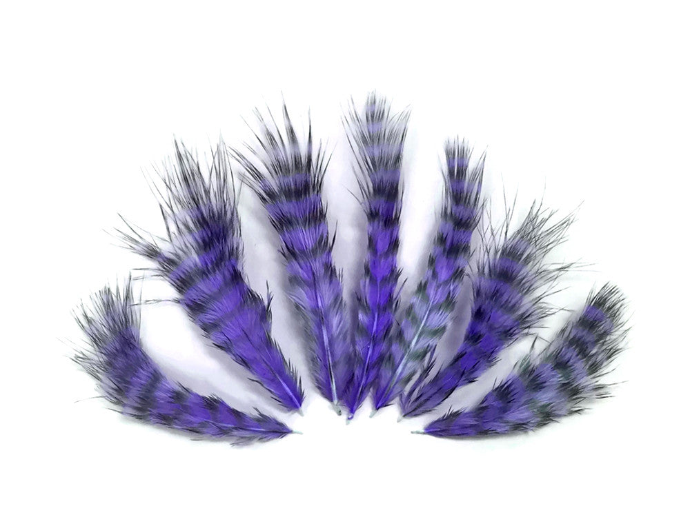 1 Dozen - Lavender Grizzly Mini Rooster Chickabou Fluff Whiting Hair Feathers