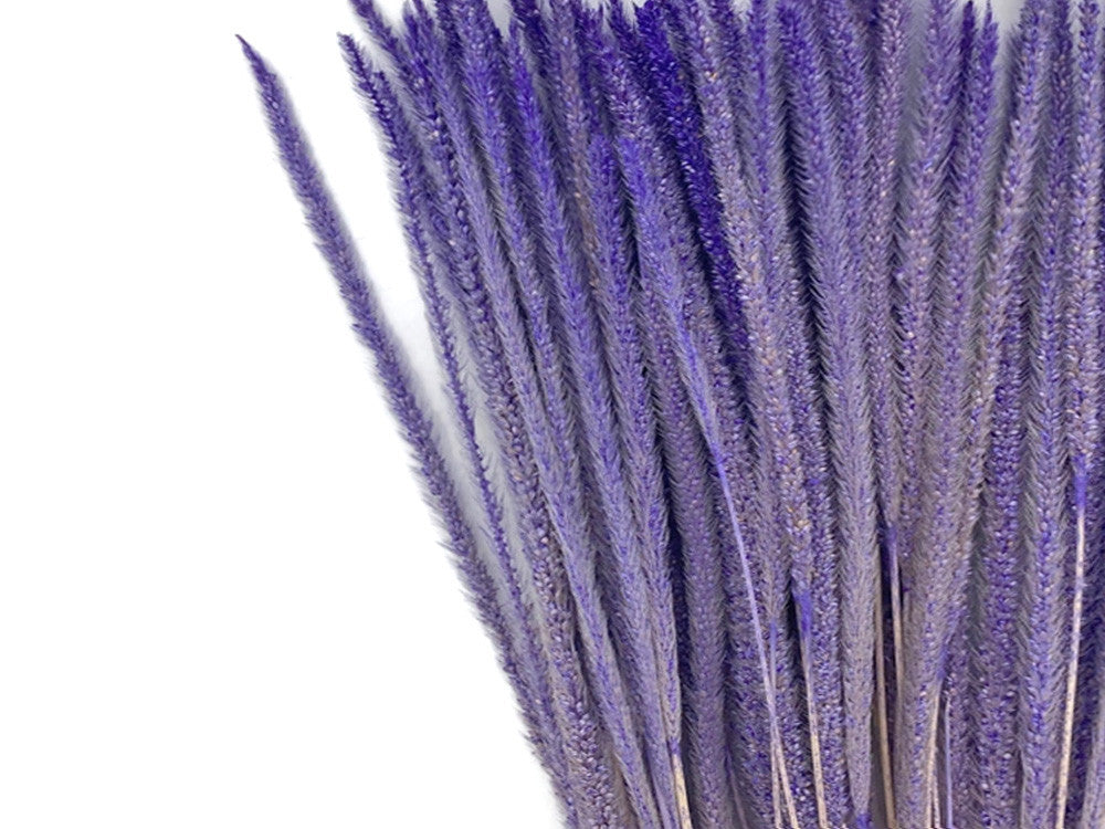 60 Pieces - 18-22" Dyed Lilac Thousand Grass Reed Preserved Dried Botanical 