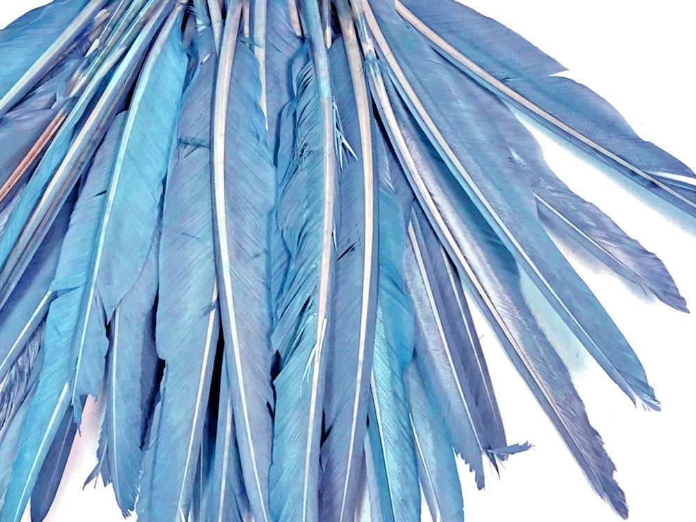 1/4 Lb. - Light Blue Goose Pointers Long Primaries Wing Wholesale Feathers (Bulk)