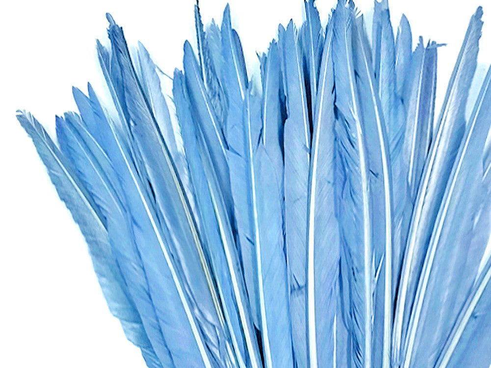 10 Pieces - Light Blue Goose Pointers Long Primaries Wing Feathers