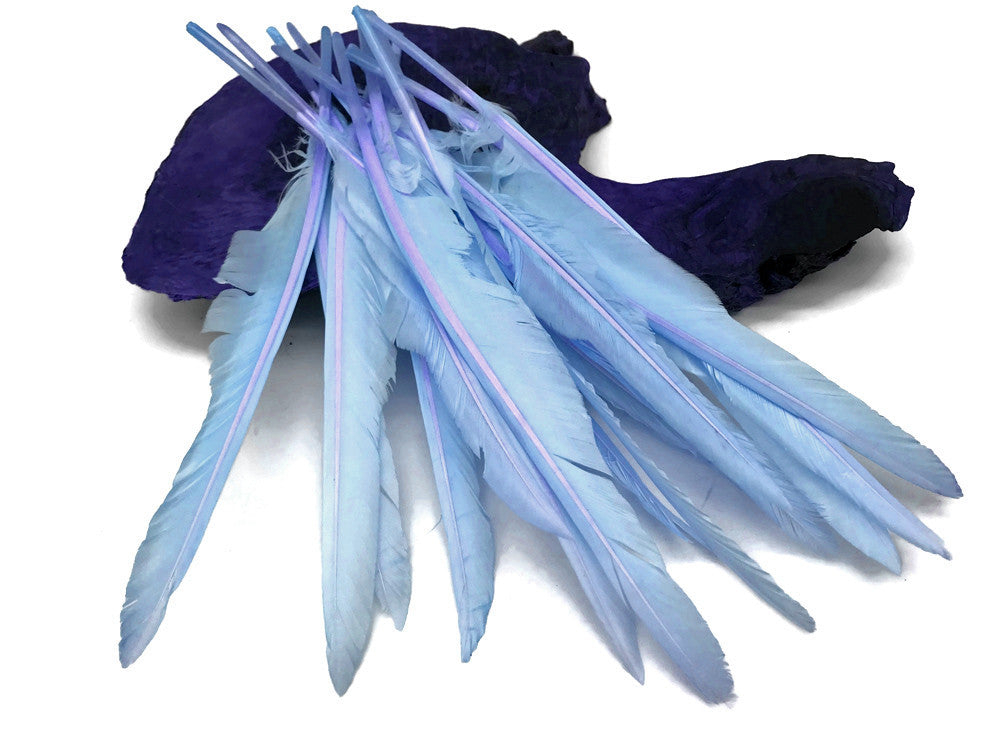 1/4 Lb. - Light Blue Goose Pointers Long Primaries Wing Wholesale Feathers (Bulk)