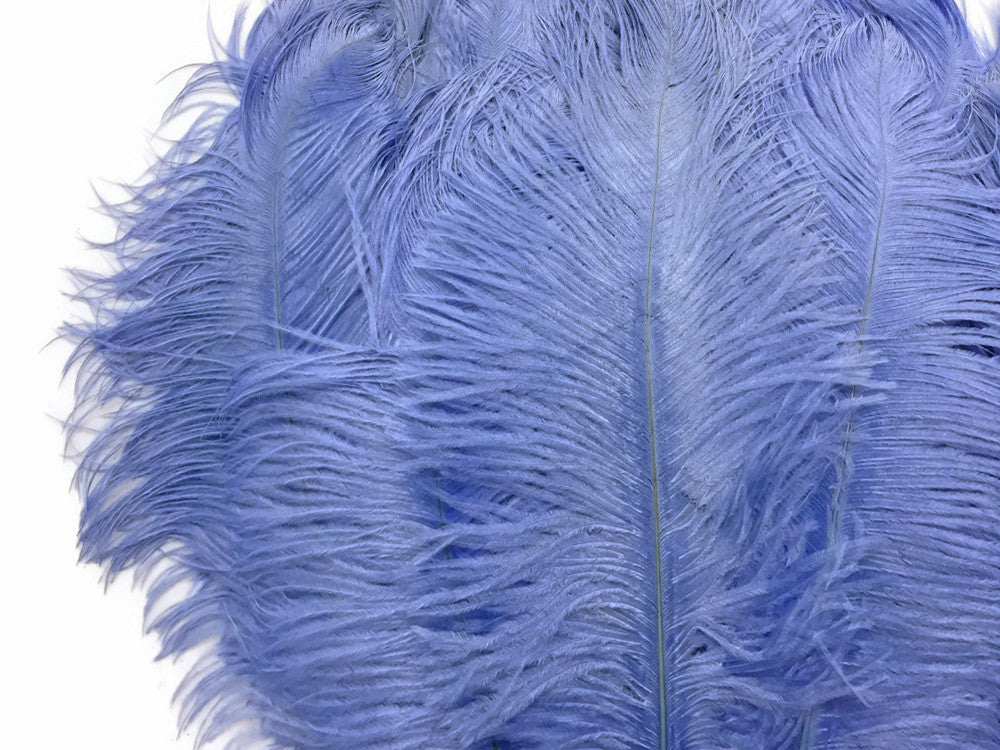 100 Pieces - 8-10" Light Blue Ostrich Dyed Drab Body Wholesale Feathers (Bulk)