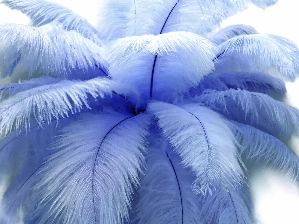 10 Pieces - 6-8" Light Blue Ostrich Dyed Drabs Body Feathers