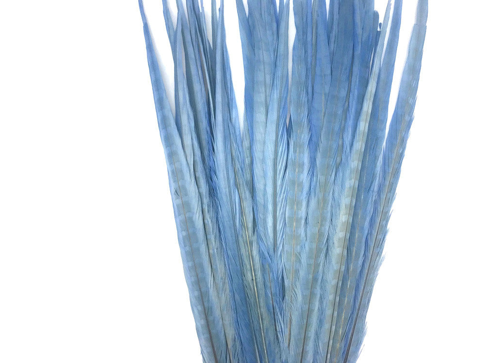 50 Pieces - 18-22" Light Blue Bleached & Dyed Long Ringneck Pheasant Tail Wholesale Feathers (Bulk)