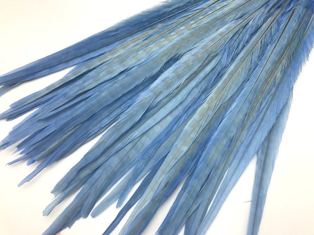 10 Pieces - 18-22" Light Blue Bleached and Dyed Long Ringneck Pheasant Tail Feathers