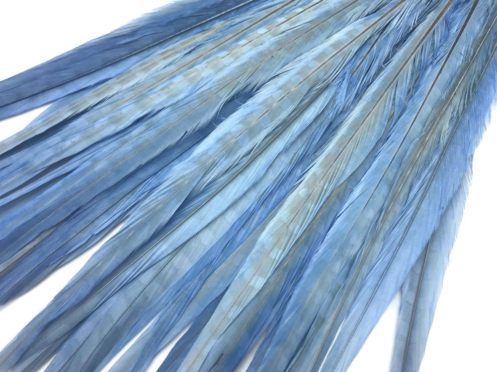 10 Pieces - 18-22" Light Blue Bleached and Dyed Long Ringneck Pheasant Tail Feathers