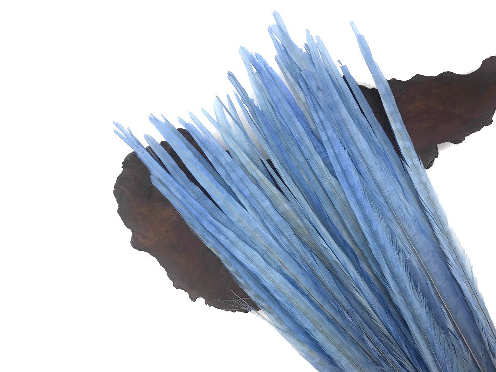 10 Pieces - 18-22" Light Blue Bleached and Dyed Long Ringneck Pheasant Tail Feathers