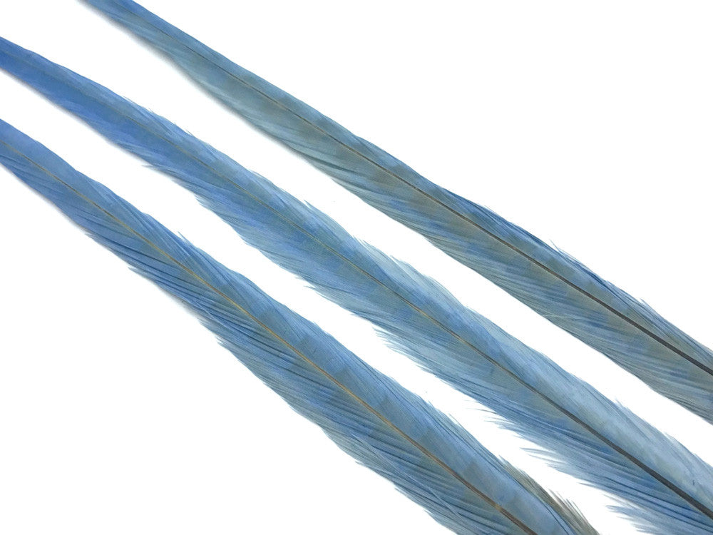 50 Pieces - 18-22" Light Blue Bleached & Dyed Long Ringneck Pheasant Tail Wholesale Feathers (Bulk)