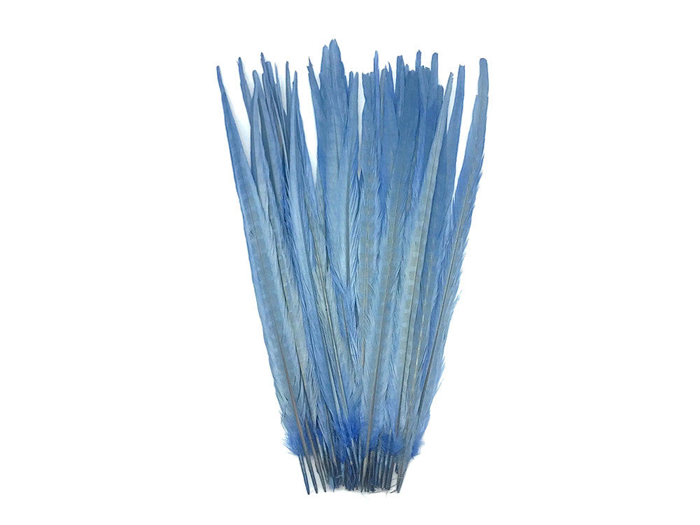 50 Pieces - 18-22" Light Blue Bleached & Dyed Long Ringneck Pheasant Tail Wholesale Feathers (Bulk)