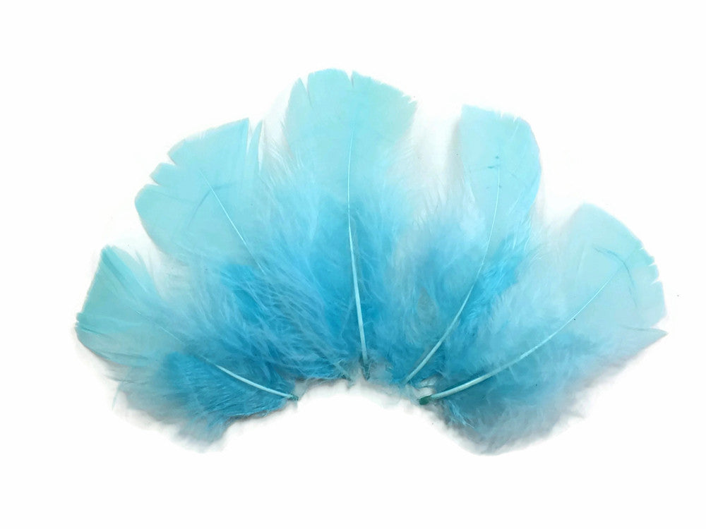 1 Pack - Light Blue Dyed Turkey T-Base triangle Body Plumage Feathers 0.50 Oz.