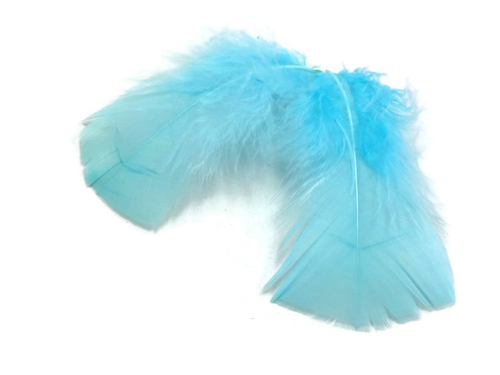 1/4 Lb - Light Blue Turkey T-Base Wholesale Body Plumage Feathers (Bulk)