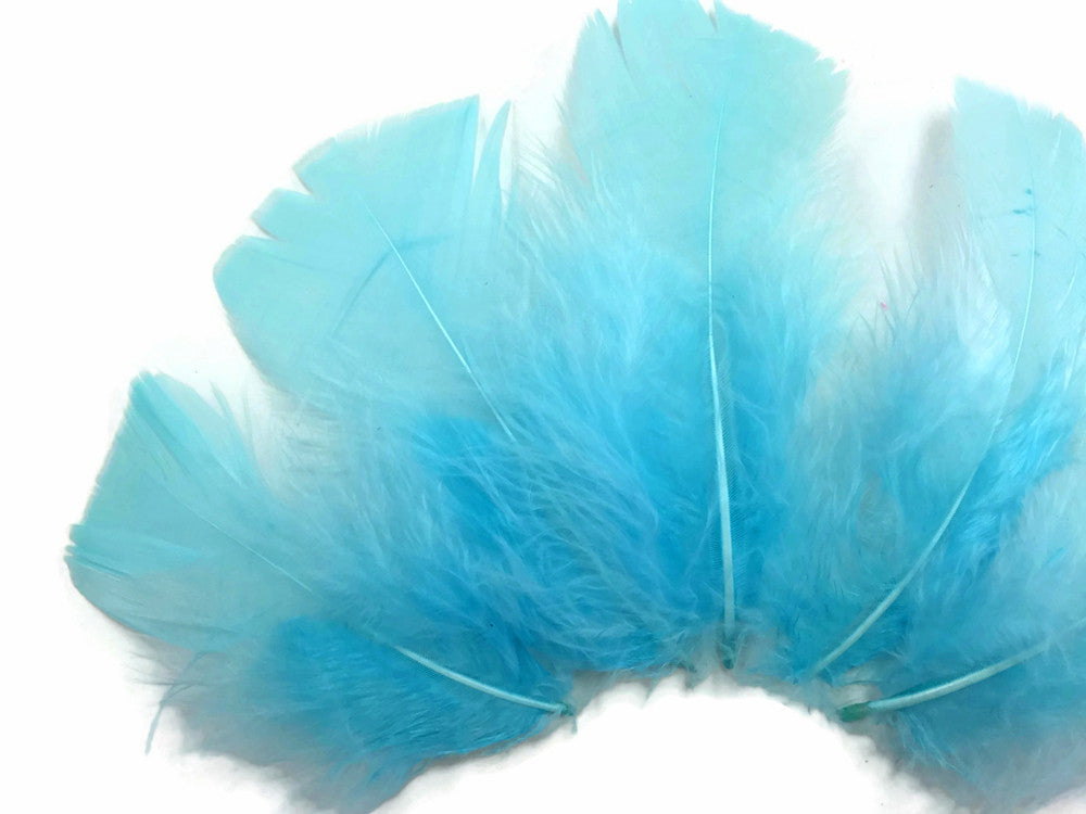 1 Pack - Light Blue Dyed Turkey T-Base triangle Body Plumage Feathers 0.50 Oz.