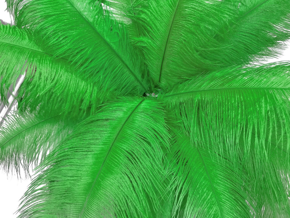 10 Pieces - 14-17" Light Green Ostrich Dyed Drab Body Feathers