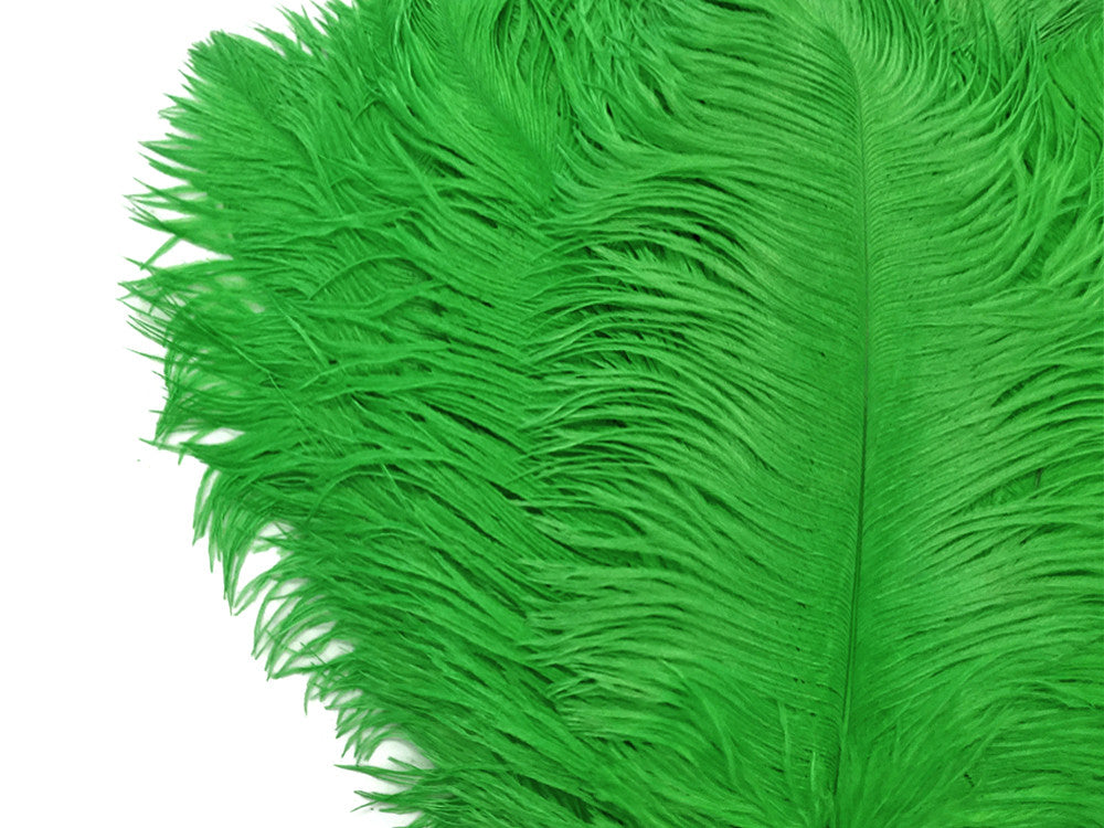 10 Pieces - 14-17" Light Green Ostrich Dyed Drab Body Feathers