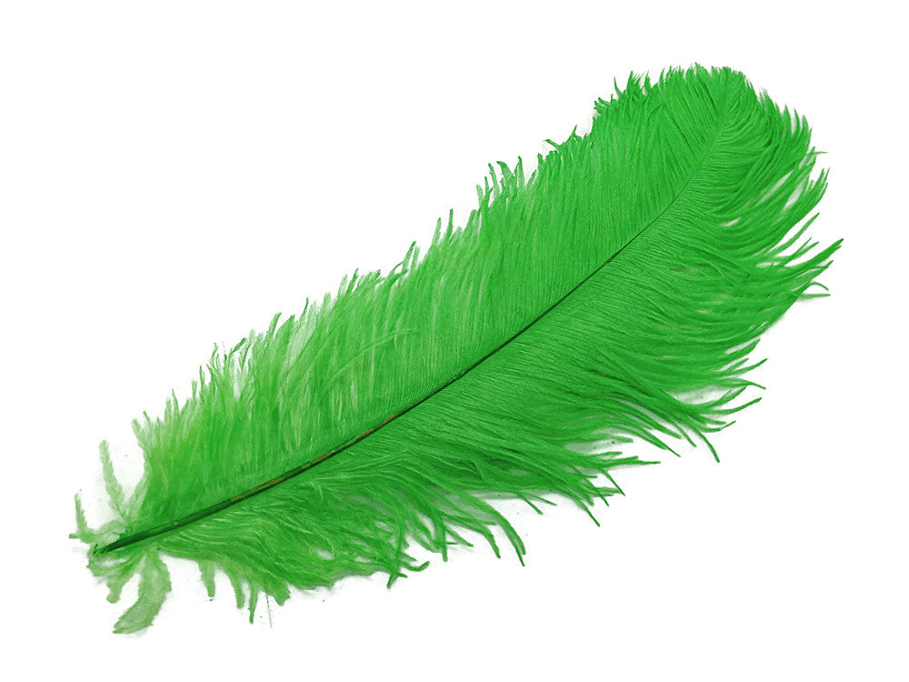10 Pieces - 14-17" Light Green Ostrich Dyed Drab Body Feathers