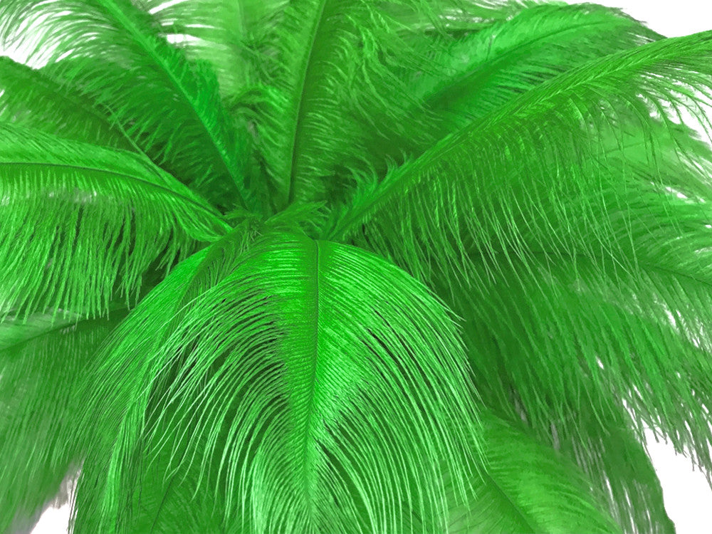 10 Pieces - 14-17" Light Green Ostrich Dyed Drab Body Feathers