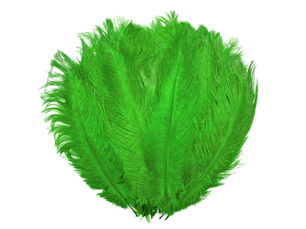 10 Pieces - 14-17" Light Green Ostrich Dyed Drab Body Feathers
