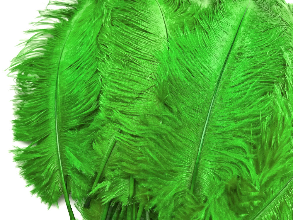 10 Pieces - 14-17" Light Green Ostrich Dyed Drab Body Feathers