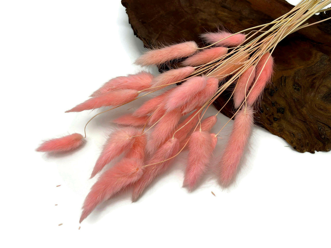 30 Pieces - 12-15" Baby Pink Bunny Tail Preserved Dried Botanical Grass Bouquet