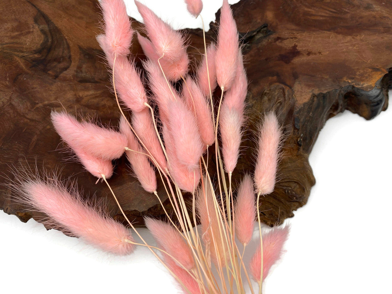 30 Pieces - 12-15" Baby Pink Bunny Tail Preserved Dried Botanical Grass Bouquet