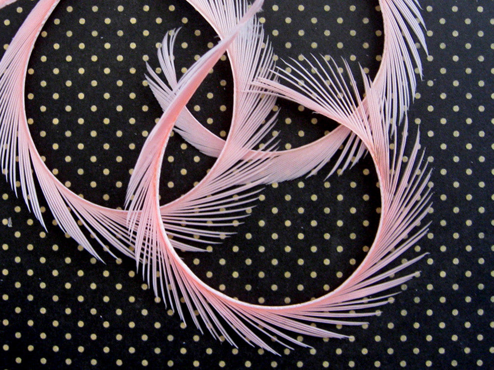 1 Yard - Light Pink Goose Biots Stripped Wing Wholesale Feather Trim