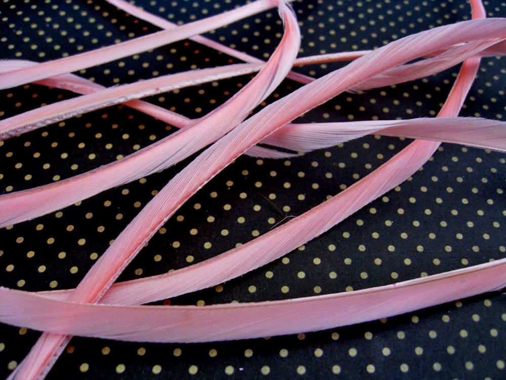 1 Yard - Light Pink Goose Biots Stripped Wing Wholesale Feather Trim