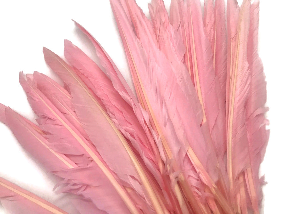 10 Pieces - Light Pink Goose Pointers Long Primaries Wing Feathers