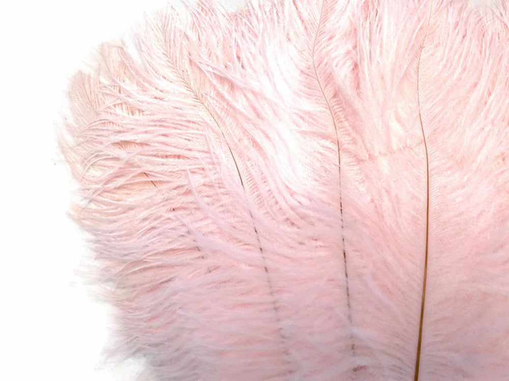 100 Pieces - 8-10" Light Pink Ostrich Dyed Drab Body Wholesale Feathers (Bulk)