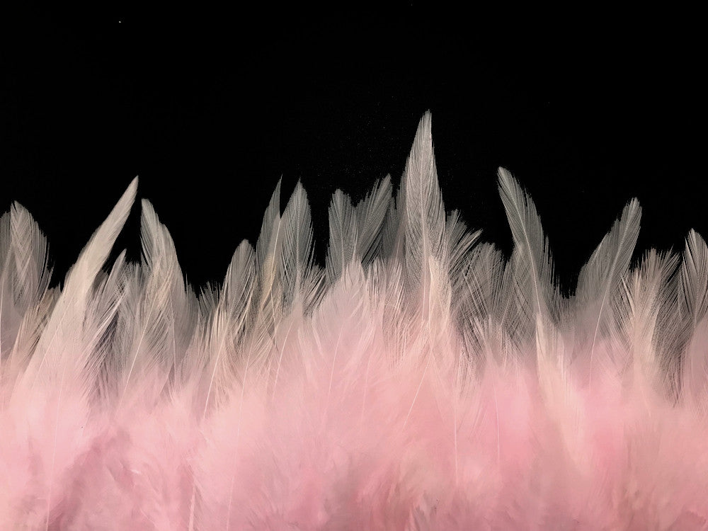 1 Yard - Light Pink Rooster Neck Hackle Saddle Feather Wholesale Trim