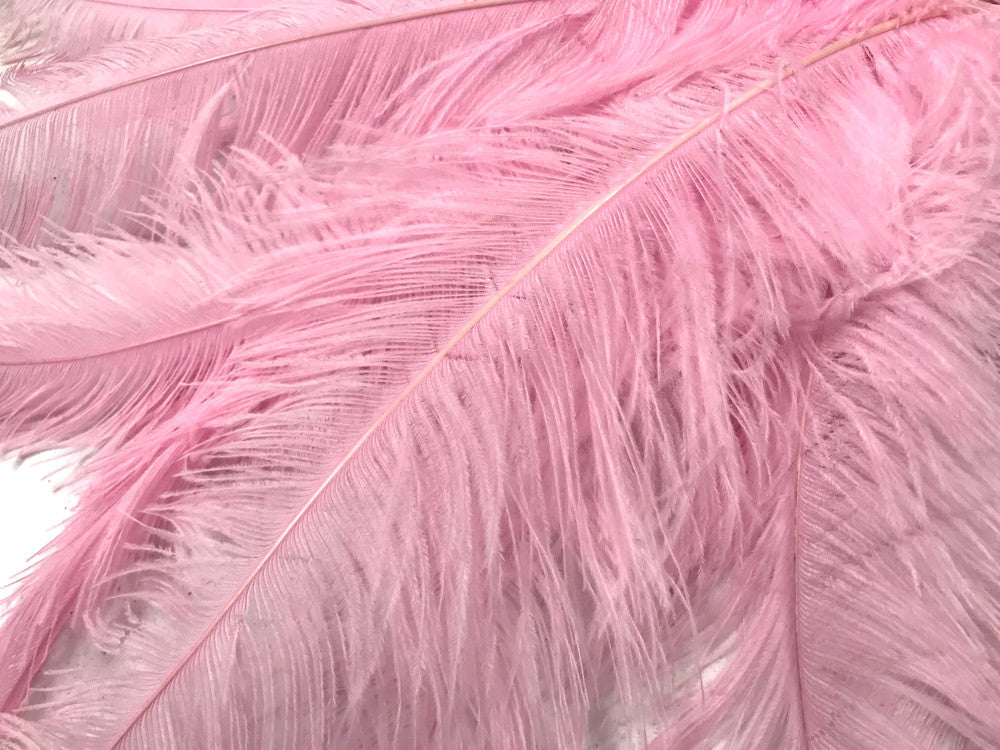 10 Pieces - 20-28" Light Pink Ostrich Spads Large Wing Feathers