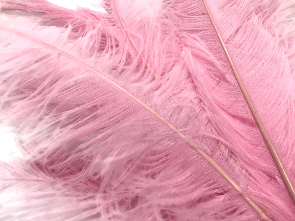 10 Pieces - 20-28" Light Pink Ostrich Spads Large Wing Feathers