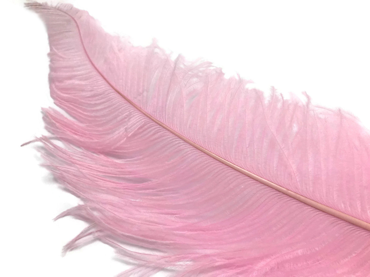 10 Pieces - 20-28" Light Pink Ostrich Spads Large Wing Feathers