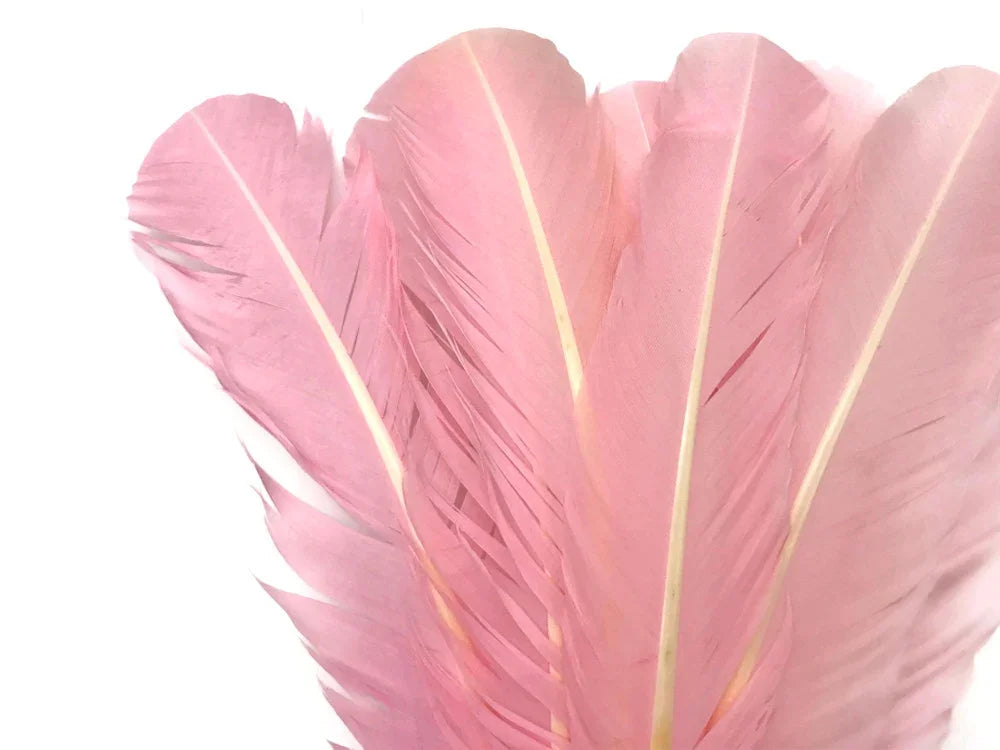 Soft pink feathers for DIY crafts and fashion accessories on a white background