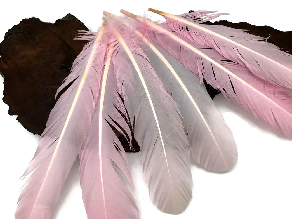 Soft pink and white decorative feathers for crafts and DIY fashion accessories.