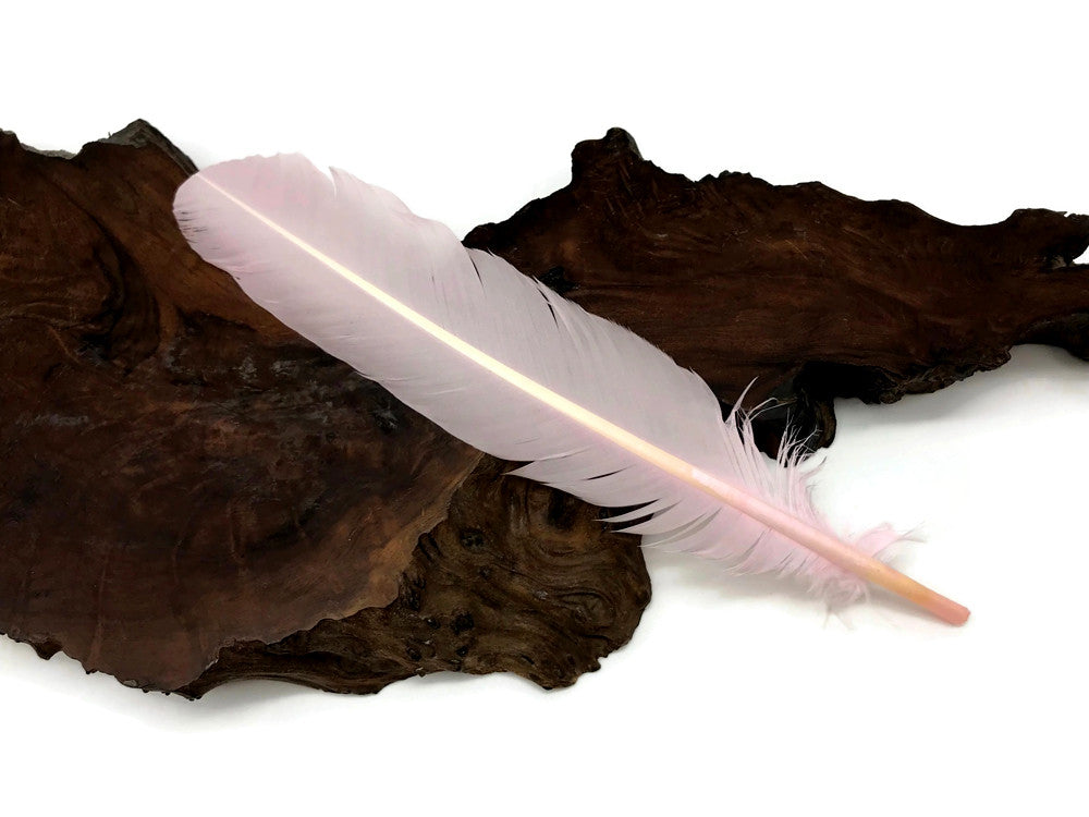 1 Lb. - Light Pink Turkey Tom Rounds Secondary Wing Quill Wholesale Feathers (Bulk)