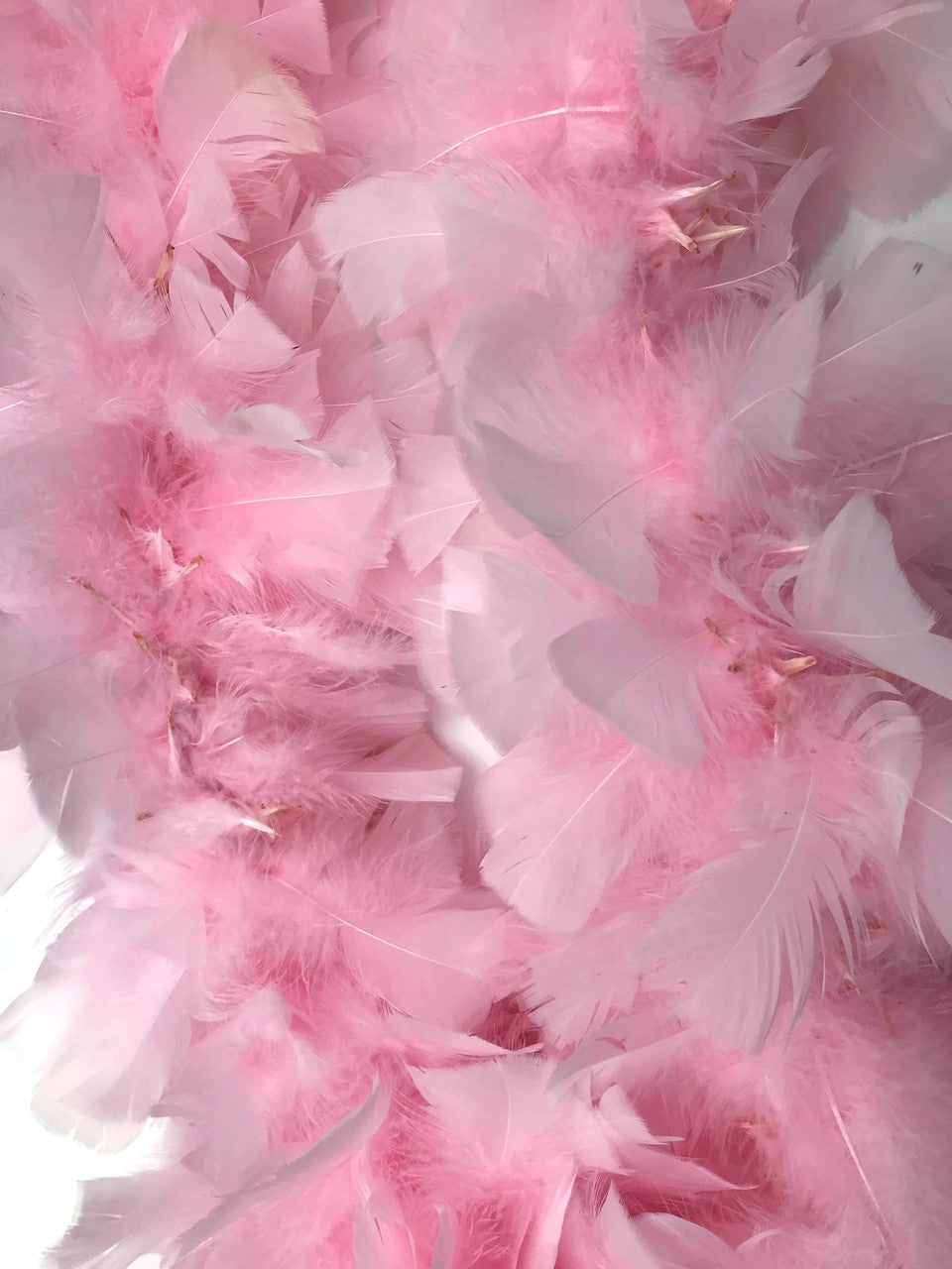 2 Yards - Light Pink Heavy Weight Turkey Flat Feather Boa, 150 Gram