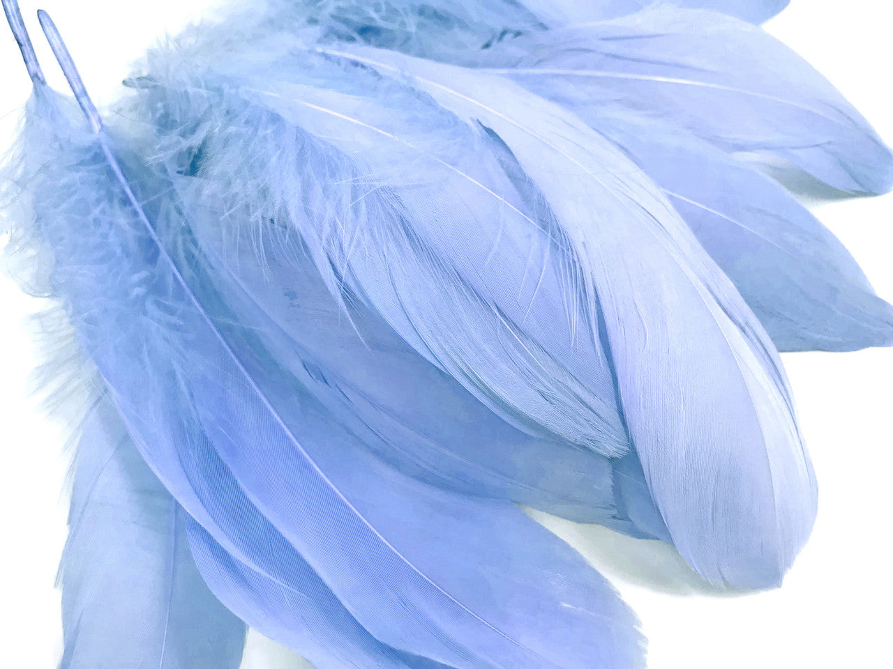 1/4 Lb - Light Blue Goose Nagoire Wholesale Feathers (Bulk)