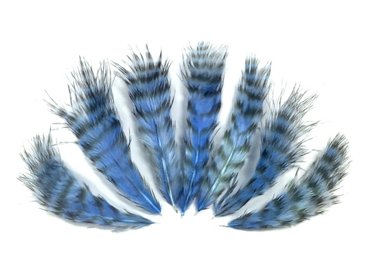 1 Dozen - Light Blue Grizzly Mini Rooster Chickabou Fluff Whiting Hair Feathers