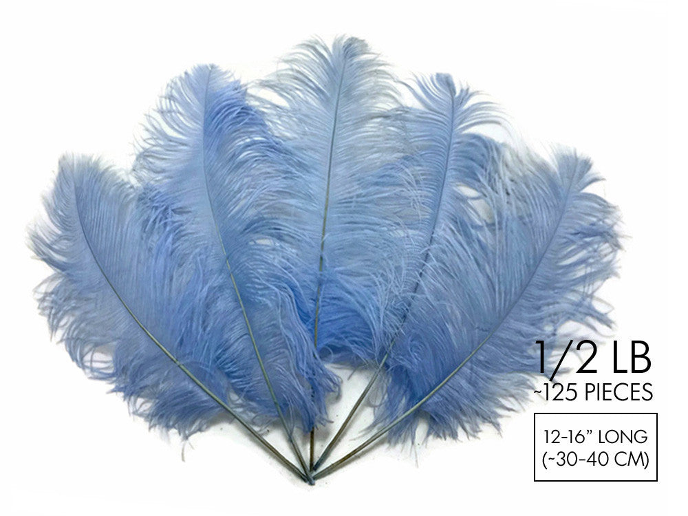 1/2 Lb - 12-16" Light Blue Ostrich Tail Wholesale Fancy Feathers (Bulk)