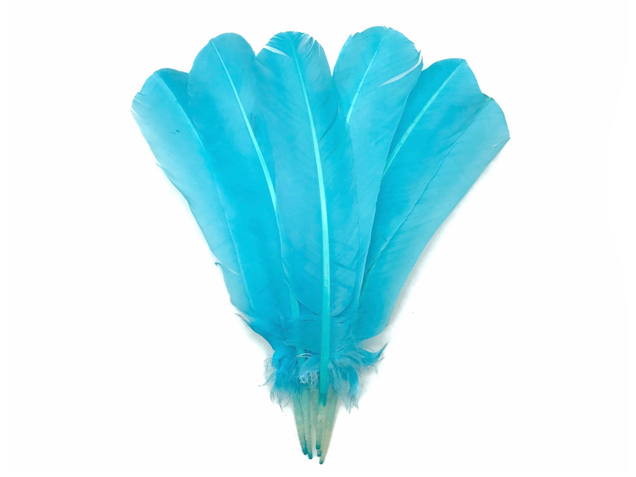 6 Pieces - Light Blue Turkey Rounds Secondary Wing Quill Feathers