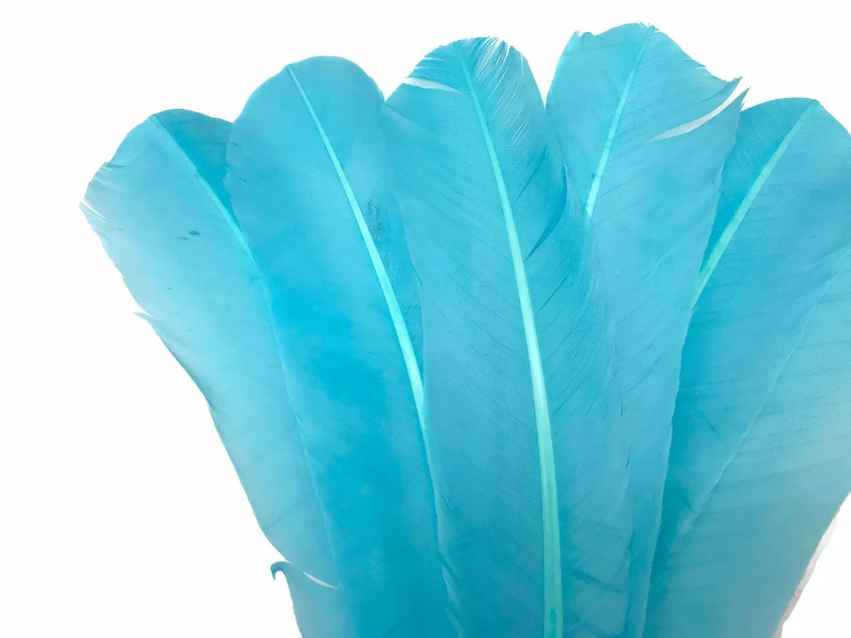 Vibrant turquoise blue feathers for DIY crafts and fashion accessories.