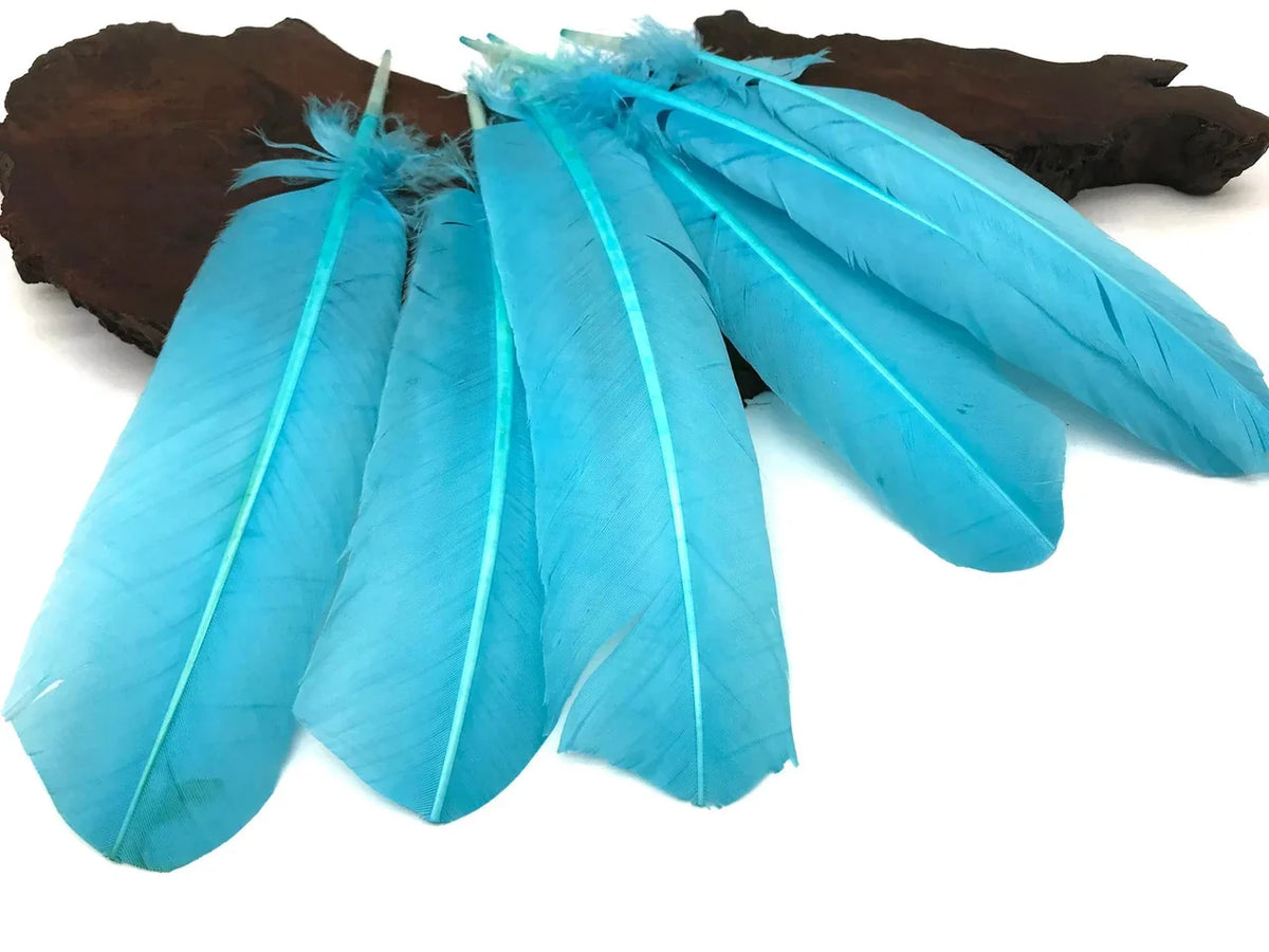 Bright turquoise blue feathers for DIY crafts and fashion decor on a dark wood base.